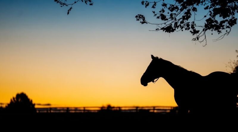Entender mi intestino, me llevó a entender más al del caballo