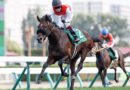 SHONAN GALLEON deslumbra en Sapporo y da la primera selectiva a FLIGHTLINE