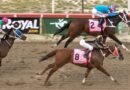 PRINCESA FINA inalcanzable en el Clásico Hípica Nacional