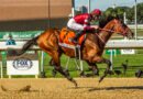 FOREVER YOUNG se pasea en el regreso de Belmont Park