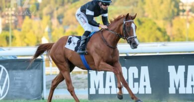 TOLEDANO firma una contundente victoria en su reaparición en el Premio Suances – European Breeders Fund TOLEDANO firma una contundente victoria en su reaparición en el Premio Suances – European Breeders Fund
