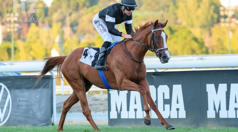 TOLEDANO firma una contundente victoria en su reaparición en el Premio Suances – European Breeders Fund TOLEDANO firma una contundente victoria en su reaparición en el Premio Suances – European Breeders Fund