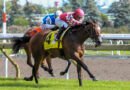 VOYAGER con Castellano se impone en el Natalma Stakes