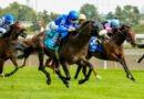 AL HUDAIBA no falla en el Summer Stakes