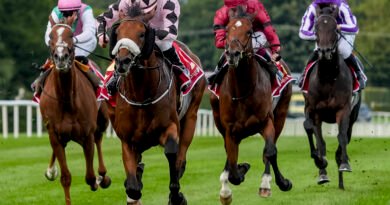HOTAZHELL gana el Irish Champion Stakes con un astronómico 37 a 1