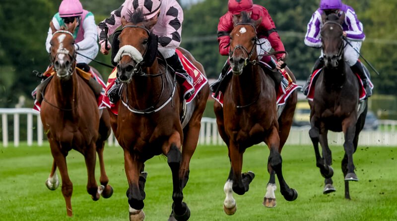 HOTAZHELL gana el Irish Champion Stakes con un astronómico 37 a 1