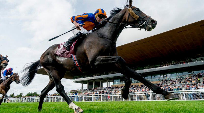 SCANDINAVIA prolongó su reinado en el Irish St Leger SCANDINAVIA prolongó su reinado en el Irish St Leger