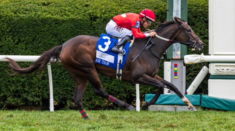 TAM TAM domina de punta a punta el Queen Elizabeth II Challenge Cup