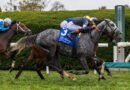 TIME TO DAZZLE repitió en el Franklin Stakes con espectacular atropellada