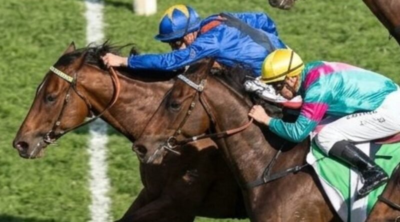 TEMPTED tumba a KA YING RISING en el Everest
