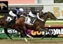 LURED AWAY se impone en el Clásico Jockey Club de Venezuela