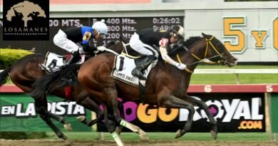 LURED AWAY se impone en el Clásico Jockey Club de Venezuela