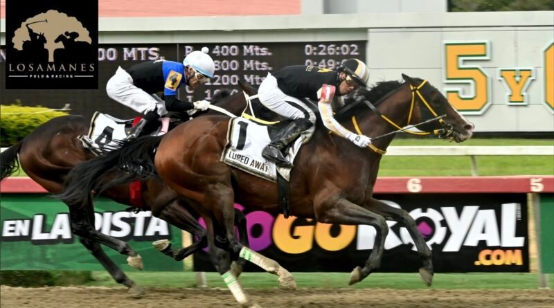 LURED AWAY se impone en el Clásico Jockey Club de Venezuela
