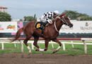 DANDY DEL PELIGRO se adueña de la Copa de Oro y apunta a la Confraternidad del Caribe