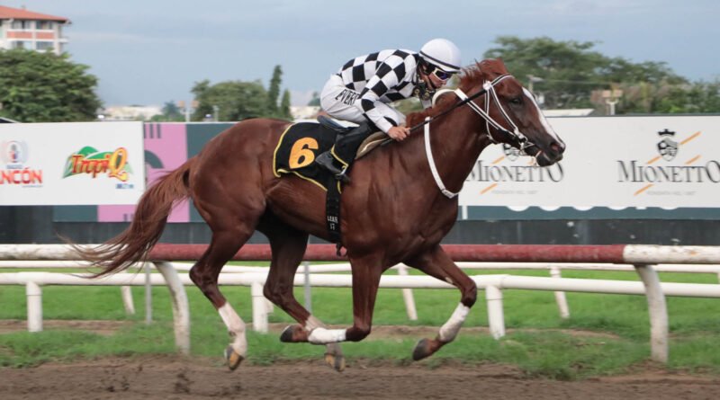 DANDY DEL PELIGRO se adueña de la Copa de Oro y apunta a la Confraternidad del Caribe