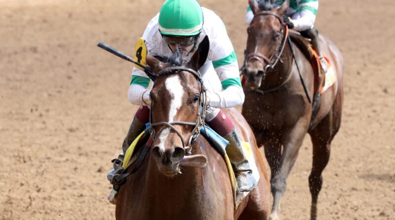 DEFIANT LASS busca su primera victoria selectiva en el Daring Kathy Handicap