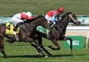 GOOD LONG CRY del Sabana Farm se impone en Belmont Park