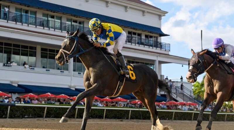 FIVEEYESONSKYSTARS  sorprende con 60 a 1 en el Mr. Jordan Handicap