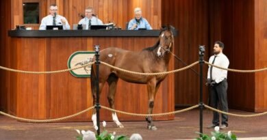 La Venta de Yearlings de octubre de OBS concluye con aumentos en el promedio y la mediana La Venta de Yearlings de octubre de OBS concluye con aumentos en el promedio y la mediana