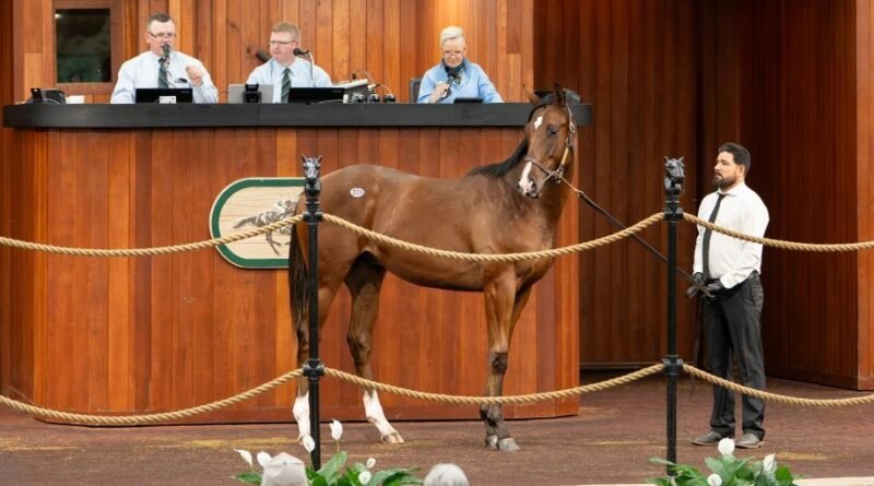La Venta de Yearlings de octubre de OBS concluye con aumentos en el promedio y la mediana La Venta de Yearlings de octubre de OBS concluye con aumentos en el promedio y la mediana