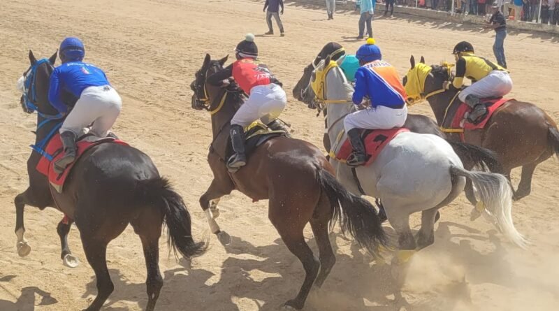 Agoniza el Hipódromo de Paraguaná
