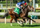 REPO MAN responde en el Zuma Beach Stakes REPO MAN responde en el Zuma Beach Stakes