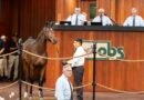 Hija de GIRVIN marca la pauta en la primera jornada de la Venta de Yearlings de octubre en OBS