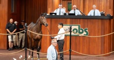 Hija de GIRVIN marca la pauta en la primera jornada de la Venta de Yearlings de octubre en OBS Hija de GIRVIN marca la pauta en la primera jornada de la Venta de Yearlings de octubre en OBS