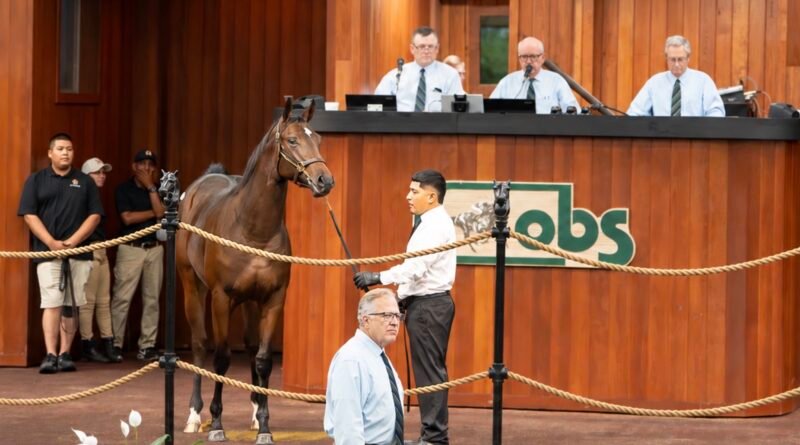 Hija de GIRVIN marca la pauta en la primera jornada de la Venta de Yearlings de octubre en OBS Hija de GIRVIN marca la pauta en la primera jornada de la Venta de Yearlings de octubre en OBS
