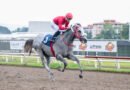 MACHO MULE abre con autoridad la Triple Corona Juvenil de Importados