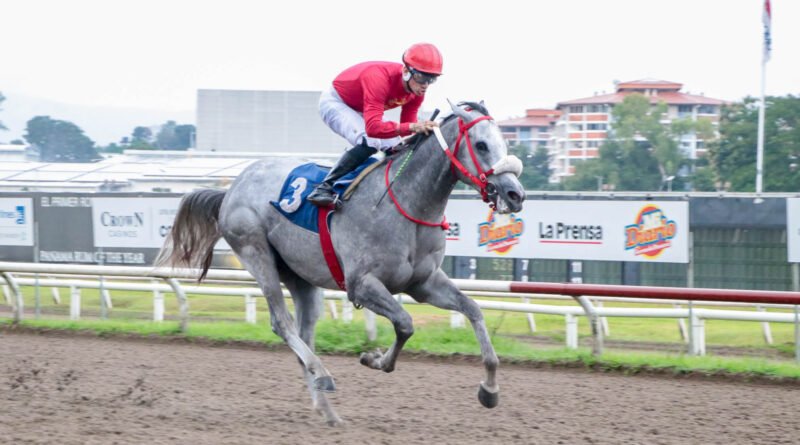 MACHO MULE abre con autoridad la Triple Corona Juvenil de Importados