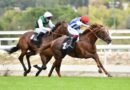 MAJESTAD se corona en el Día de los Campeones con una gran victoria en el Memorial Duque de Toledo