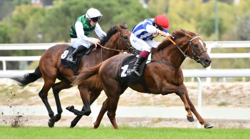 MAJESTAD se corona en el Día de los Campeones con una gran victoria en el Memorial Duque de Toledo