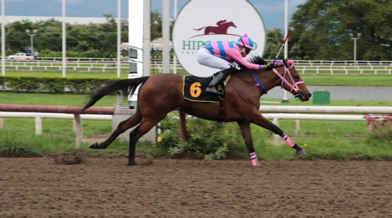 KEAYPAMI se impone con autoridad en el Clásico Ricardo Lau Yunsan y abre la Triple Corona Juvenil de Importadas