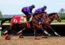 43,700 millas hasta la carrera: El extraordinario camino de Forever Young hacia la Breeders’ Cup
