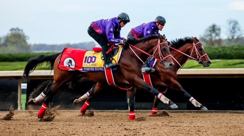 43,700 millas hasta la carrera: El extraordinario camino de Forever Young hacia la Breeders’ Cup