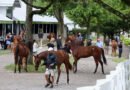 Keeneland incluye 125 piezas en el catálogo de la Venta de Noviembre de Caballos en Edad de Correr