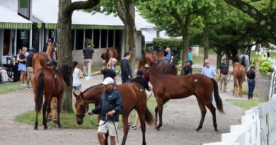 Keeneland añade cinco piezas a sus ventas de noviembre Keeneland añade cinco piezas a sus ventas de noviembre