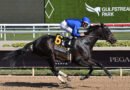 Gulfstream Park bien representado en las Breeders’ Cup Gulfstream Park bien representado en las Breeders’ Cup