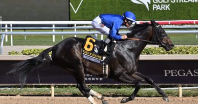 Gulfstream Park bien representado en las Breeders’ Cup Gulfstream Park bien representado en las Breeders’ Cup