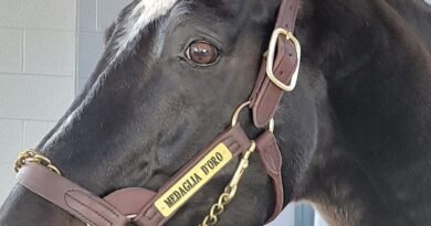 Muere MEDAGLIA D’ORO, una leyenda de las pistas que conquistó la cría mundial