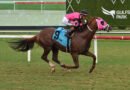 El millonario NEAT supera a sus rivales en el Miami Mile Handicap