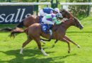 Se ofrecerá una participación en la propiedad de PRIMETIME EMMY, candidata a la Breeders’ Cup Se ofrecerá una participación en la propiedad de PRIMETIME EMMY, candidata a la Breeders’ Cup