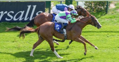 Se ofrecerá una participación en la propiedad de PRIMETIME EMMY, candidata a la Breeders’ Cup