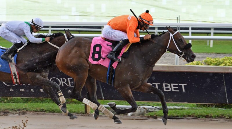 La costosa SO ICY debuta con victoria en Gulfstream Park