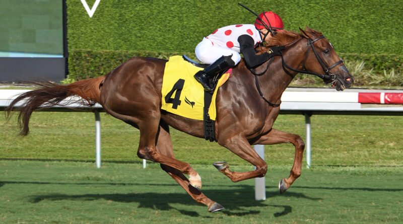 SOUPER ZONDA se impone en el Daring Kathy Handicap