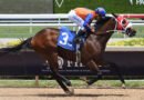 SUM OF SUCCESS vuelve a la acción este sábado en Gulfstream