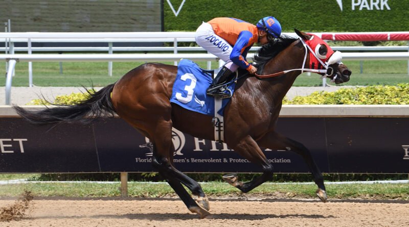 SUM OF SUCCESS vuelve a la acción este sábado en Gulfstream