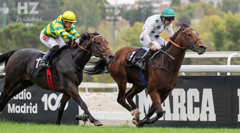 El Gran Premio de la Hispanidad llega marcado por los mejores del año