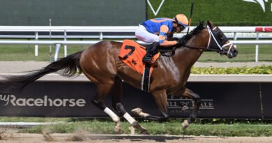 VIBE regresa a Gulfstream para un «reinicio» en el Mr. Jordan Handicap VIBE regresa a Gulfstream para un «reinicio» en el Mr. Jordan Handicap